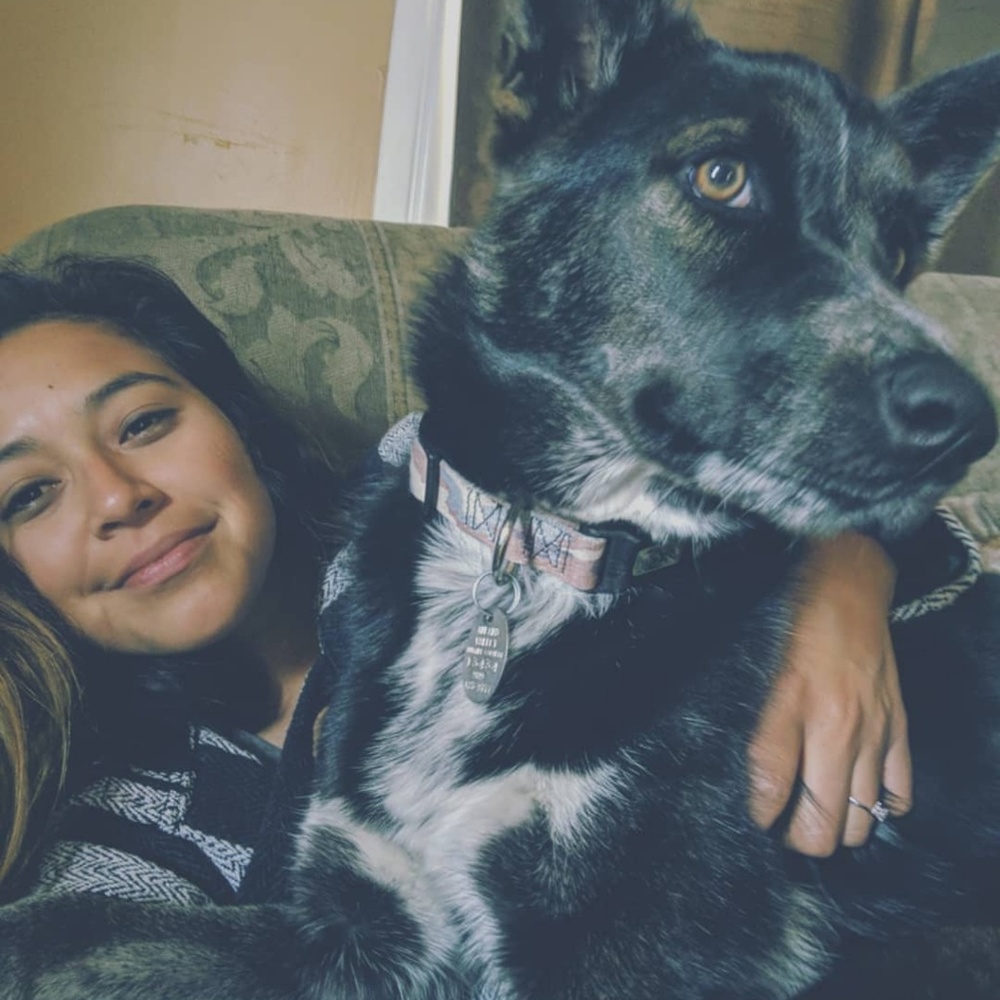 Meet your Posher, Joey